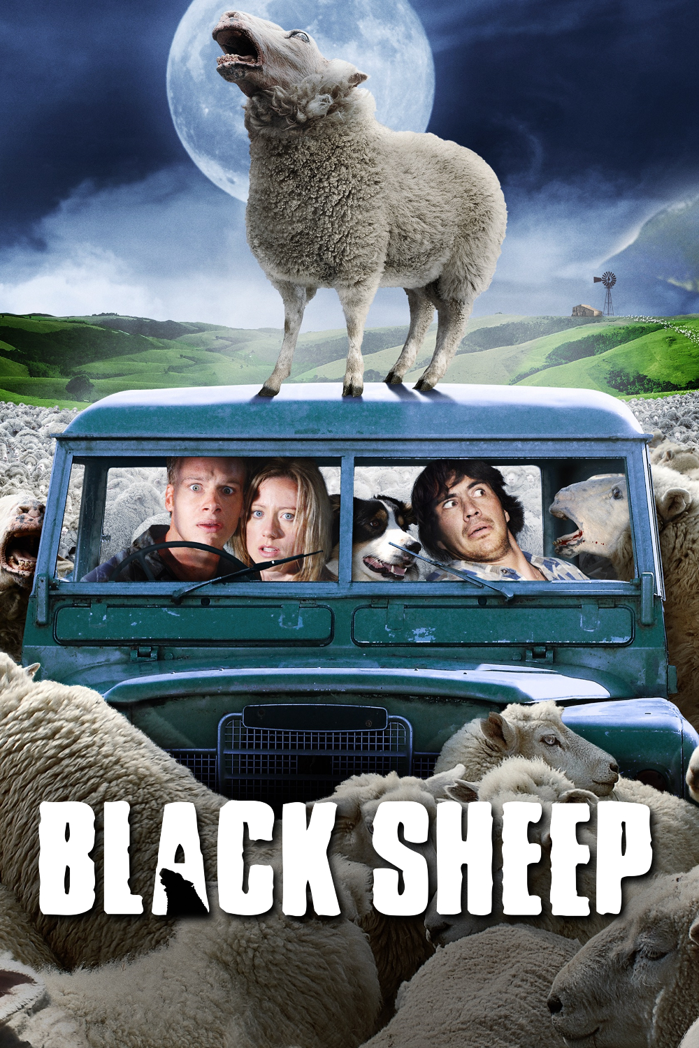Black Sheep