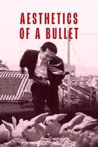 Aesthetics of a Bullet