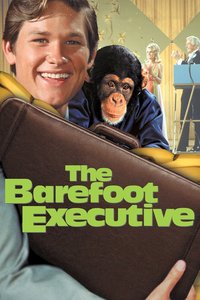 The Barefoot Executive