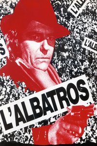 The Albatross