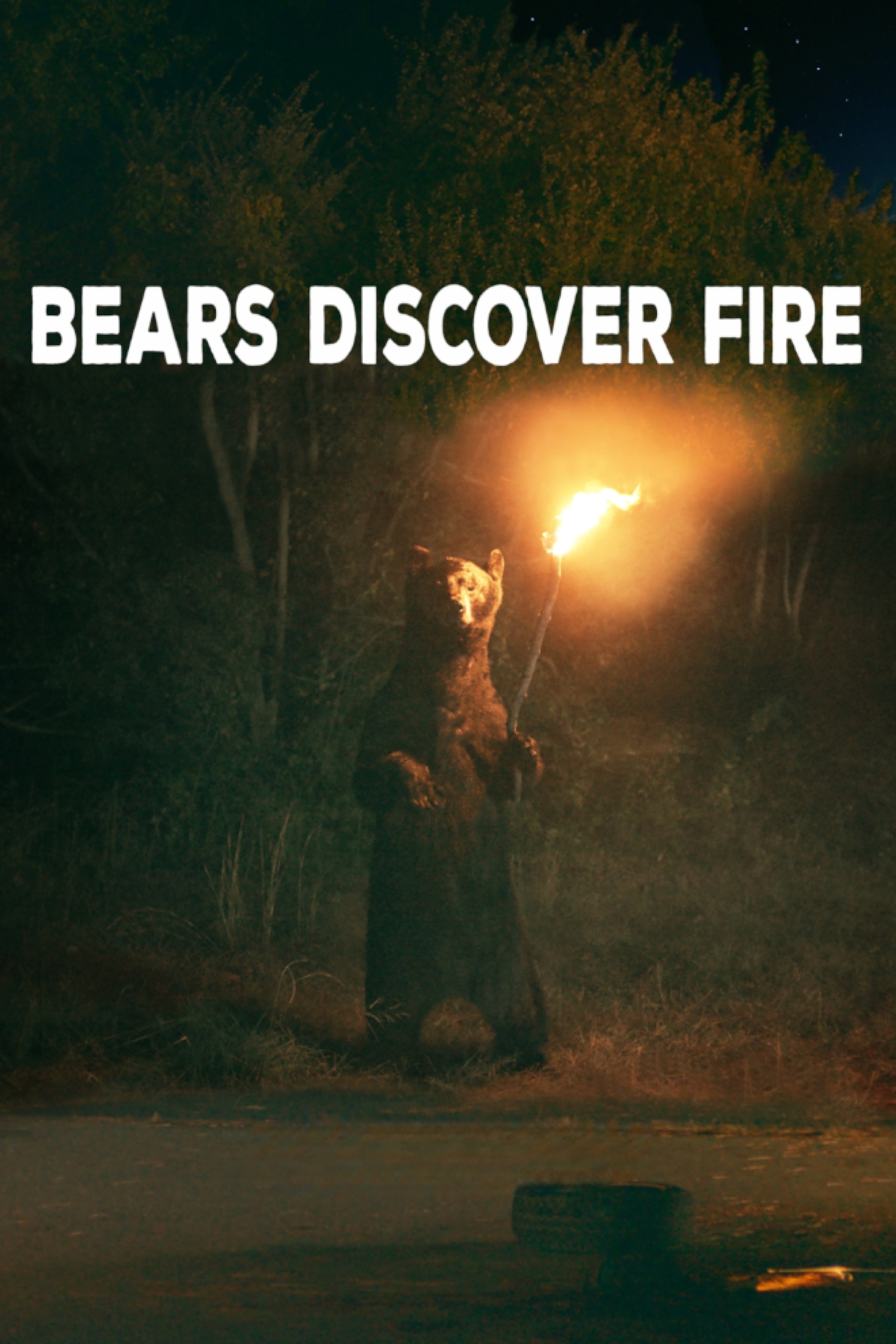 Bears Discover Fire