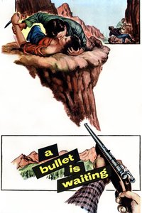 A Bullet Is Waiting