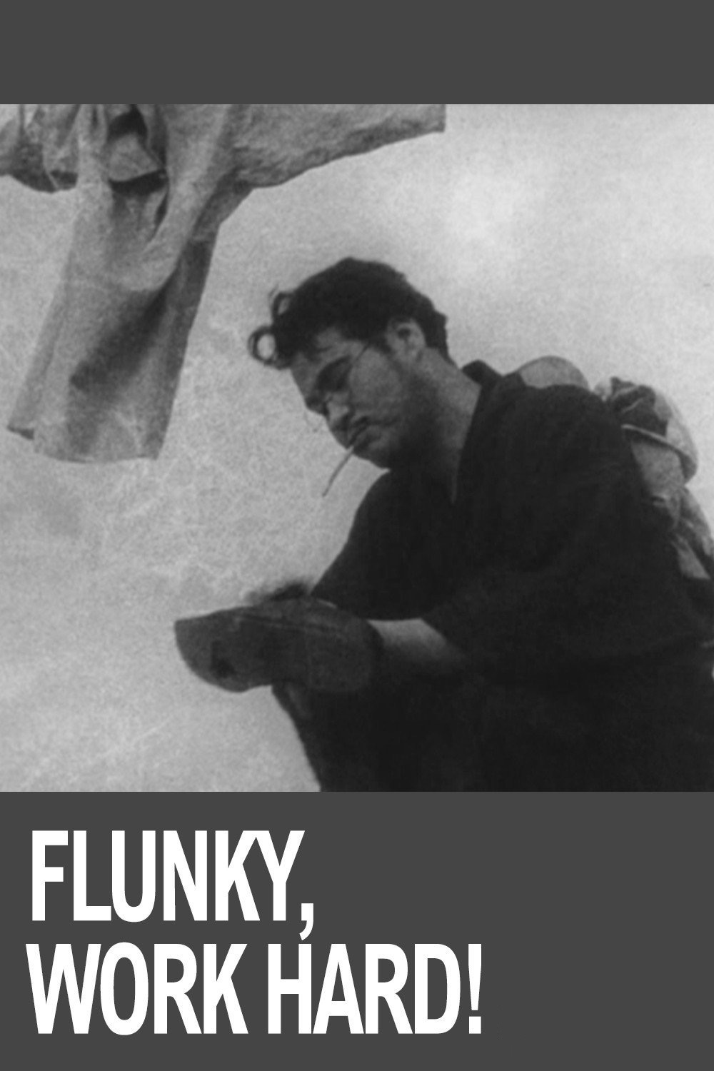 Flunky, Work Hard!