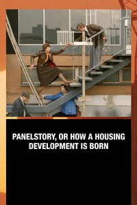 Panelstory or Birth of a Community