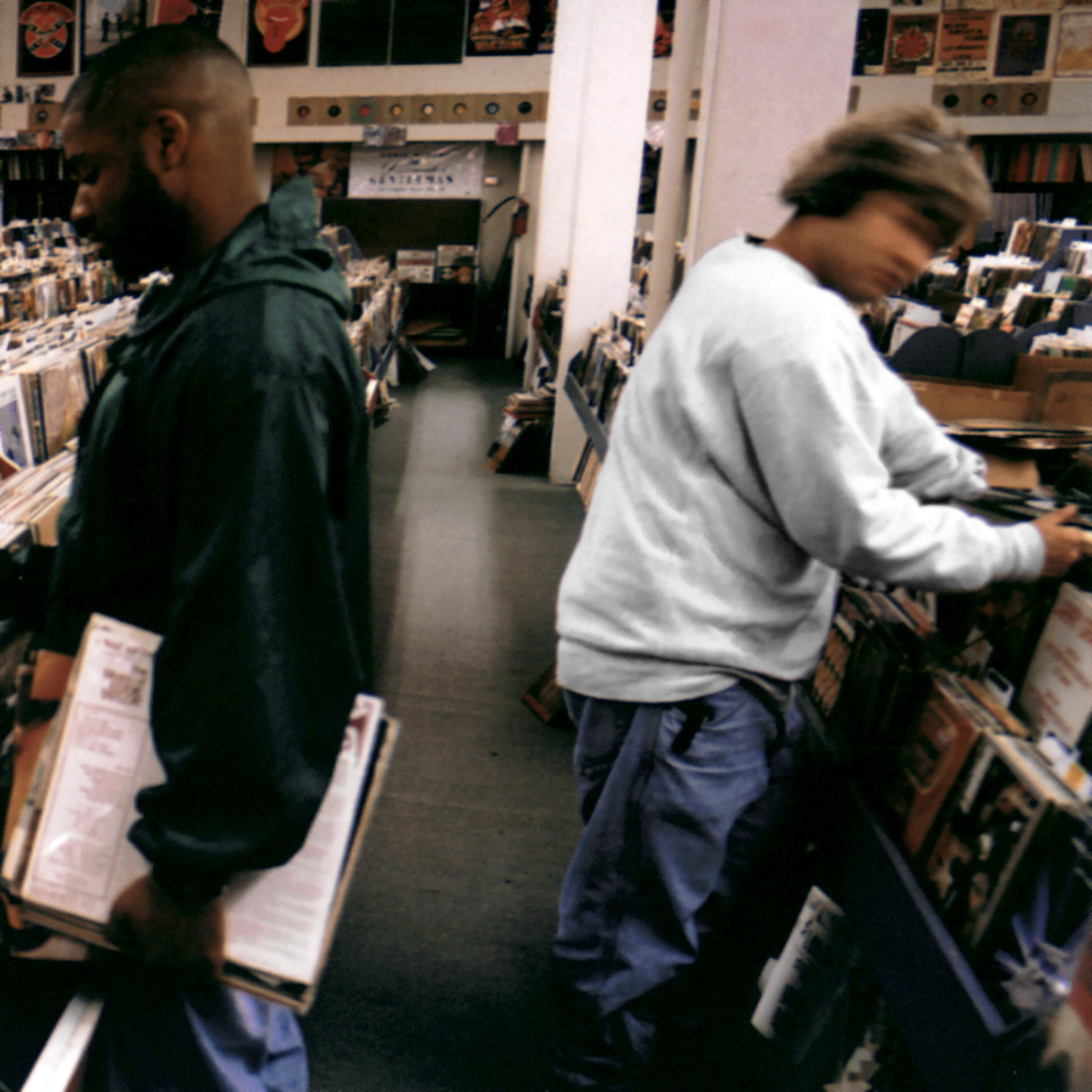 Endtroducing.....
