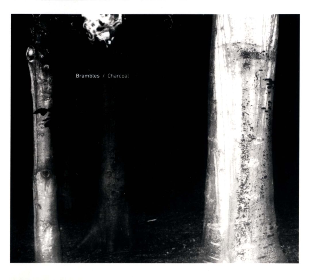 Charcoal