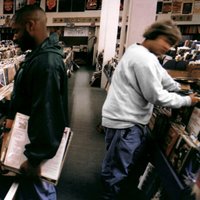 Endtroducing.....