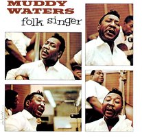 Folk Singer