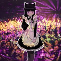 Skrillex - Scary Monsters and Nice Sprites (DJ Kuroneko remix)