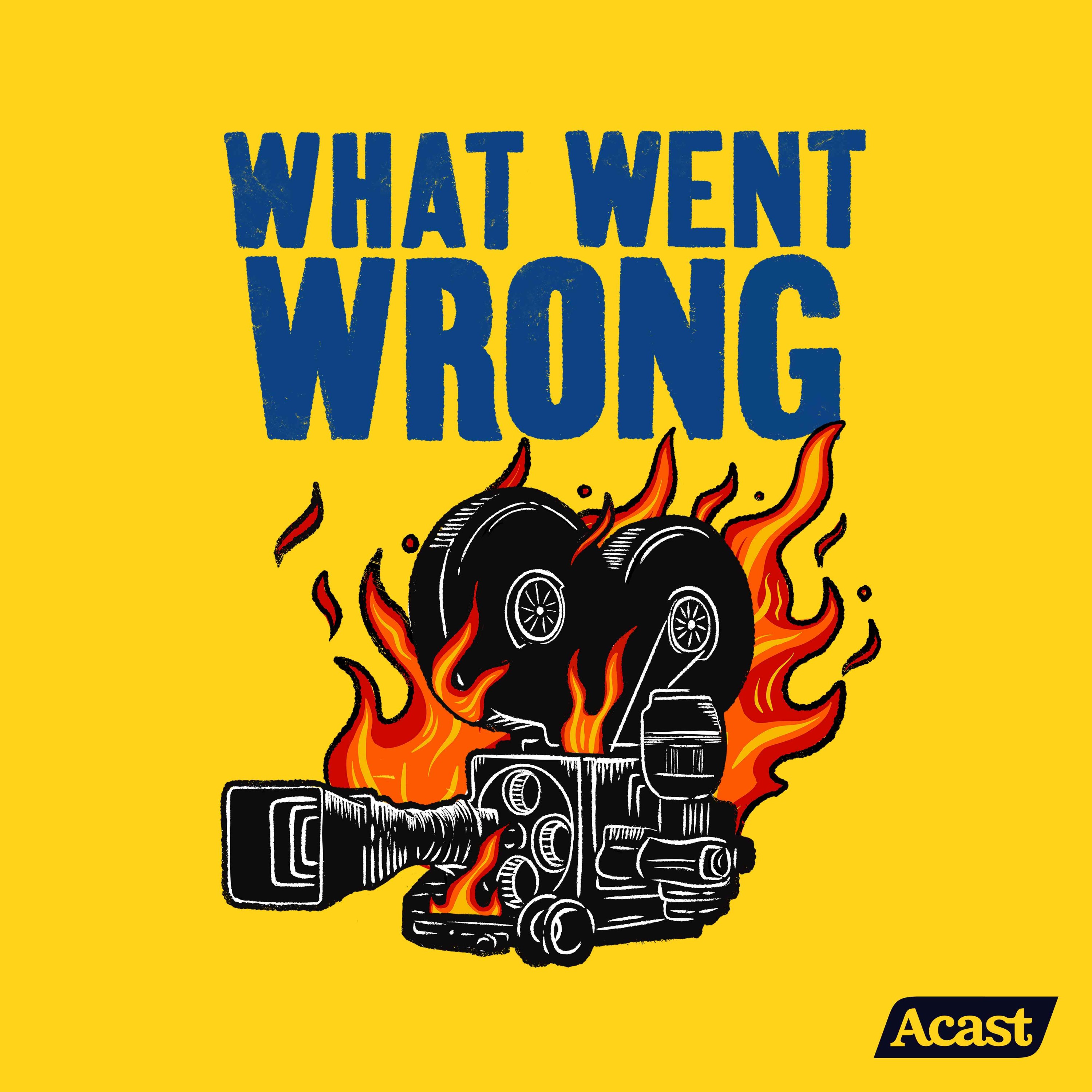 WHAT WENT WRONG