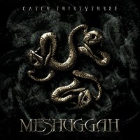 Catch Thirty Three