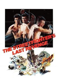 The Street Fighter's Last Revenge