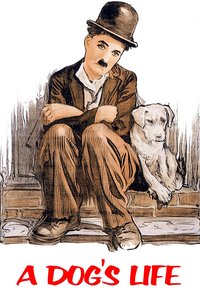 A Dog's Life