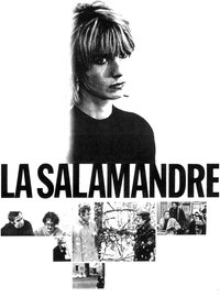 The Salamander