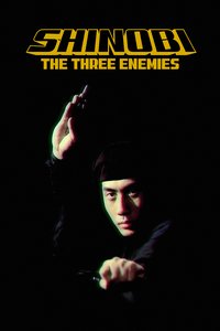 Shinobi no mono 8: The Three Enemies