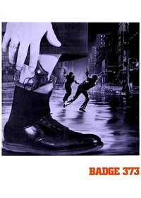 Badge 373