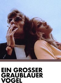 A Big Grey-Blue Bird