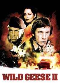Wild Geese II