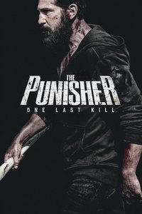 The Punisher: One Last Kill