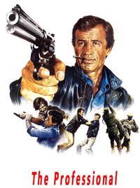 The Professional