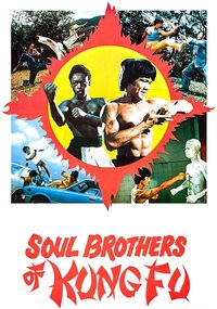 Soul Brothers of Kung Fu