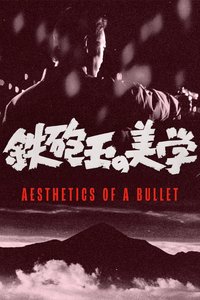 Aesthetics of a Bullet
