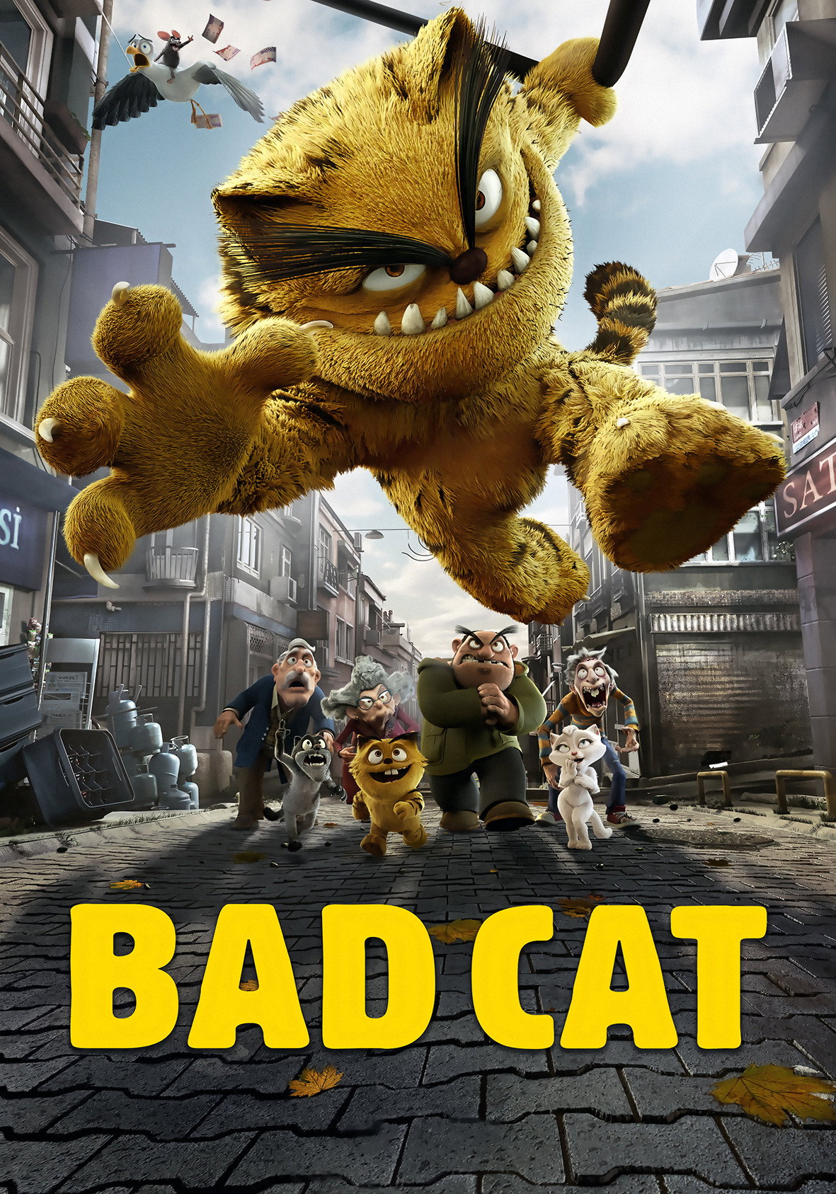 cover