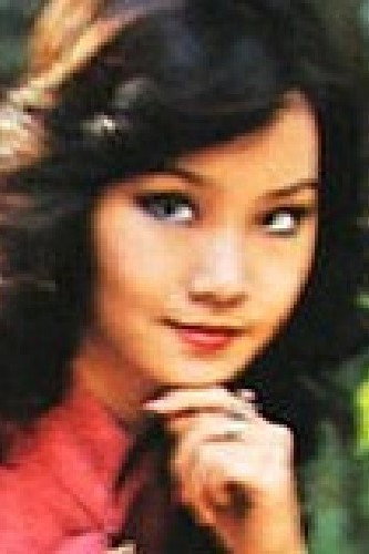 Yang Xin