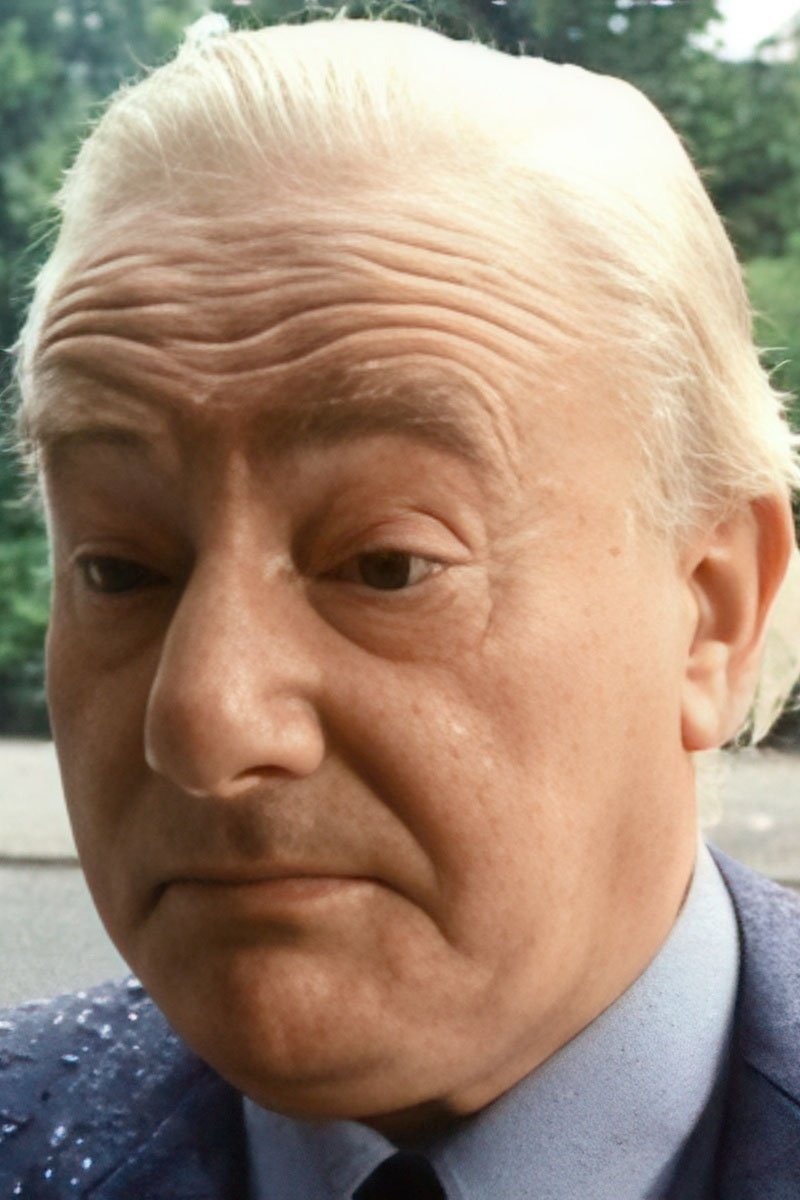 Wim van den Brink