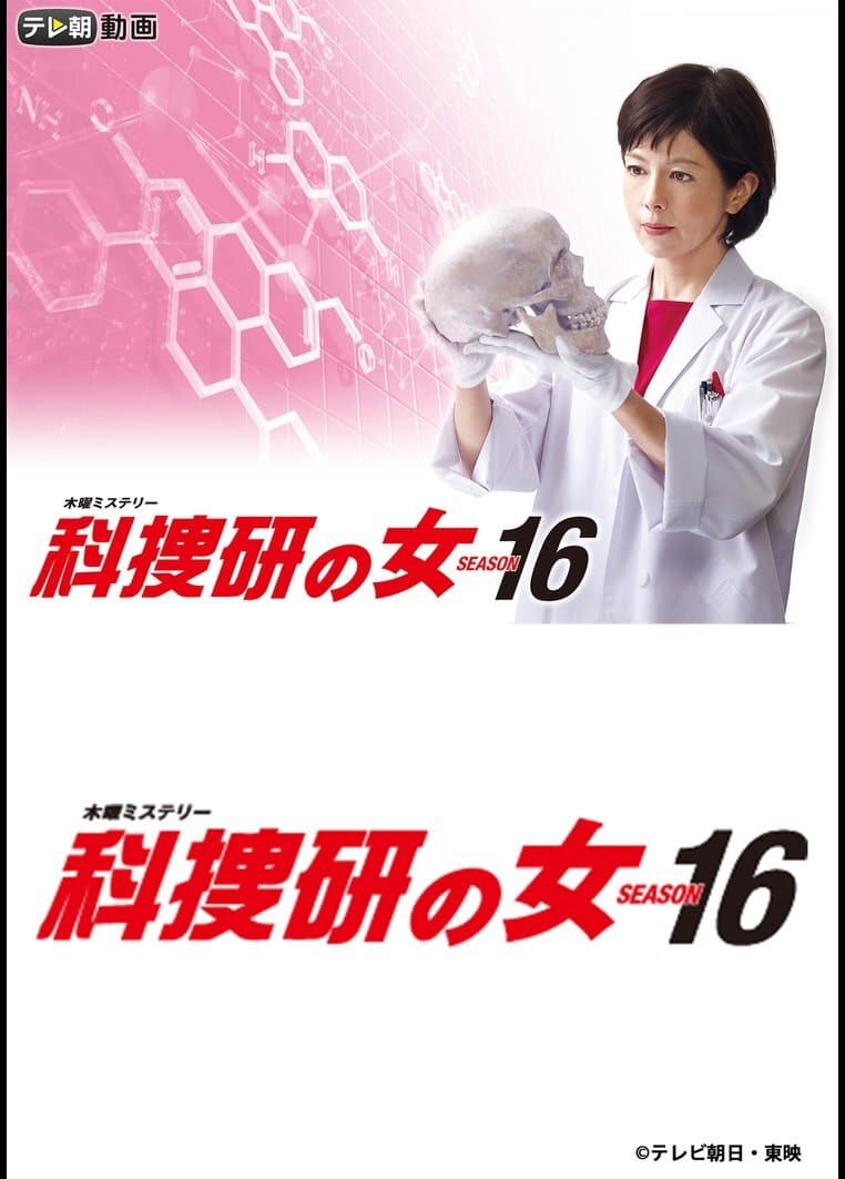 The Woman of S.R.I. (科搜研之女 第 16 季)