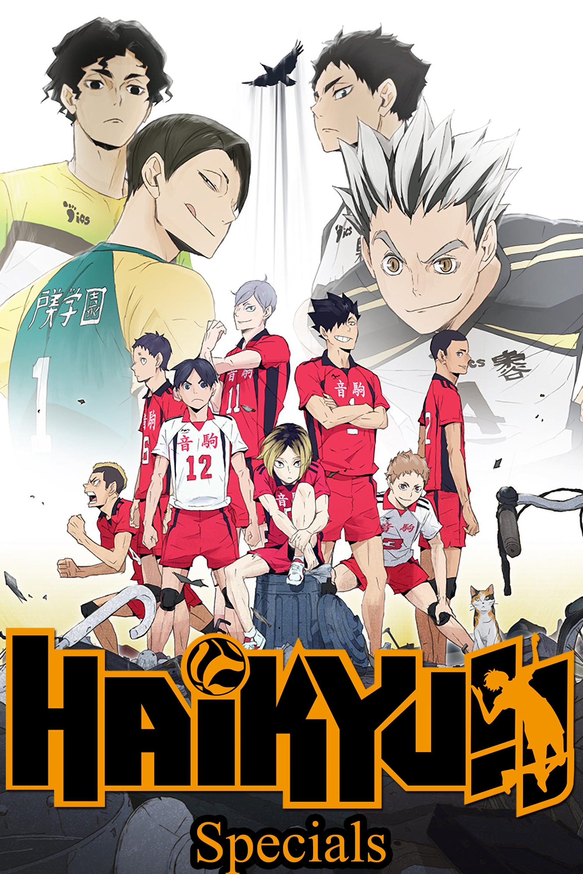 Haikyu!! (Specials)