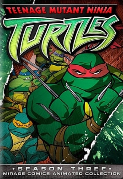 Teenage Mutant Ninja Turtles Season 3