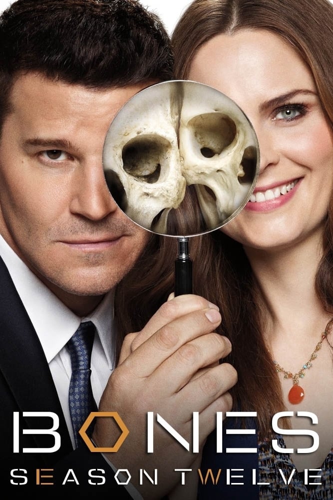 Bones (Season 12 - The Final Chapter)