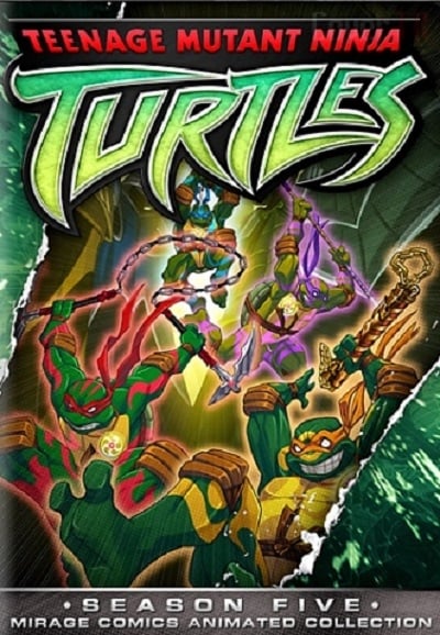Teenage Mutant Ninja Turtles (Ninja Tribunal)