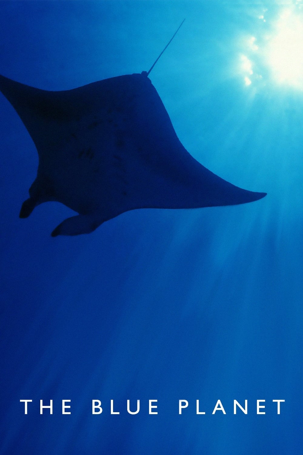 The Blue Planet (Specials)