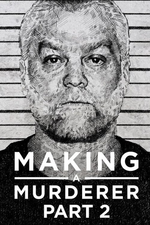 Making a Murderer (Part 2)