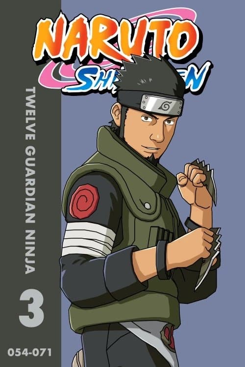 Naruto Shippūden (Twelve Guardian Ninja)