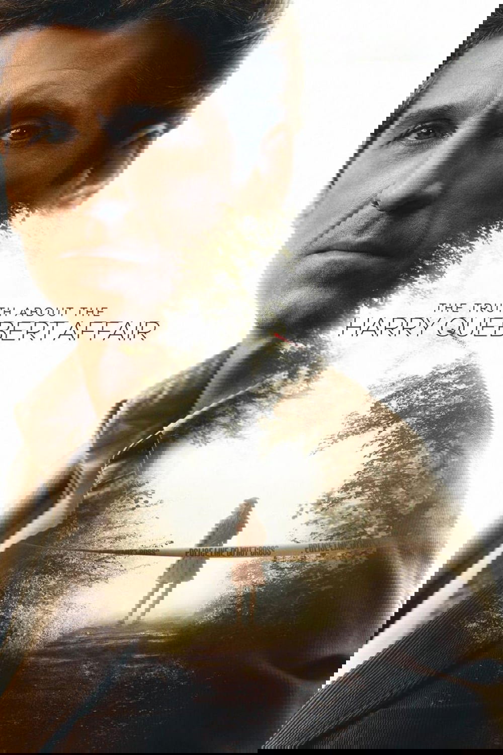 The Truth About the Harry Quebert Affair