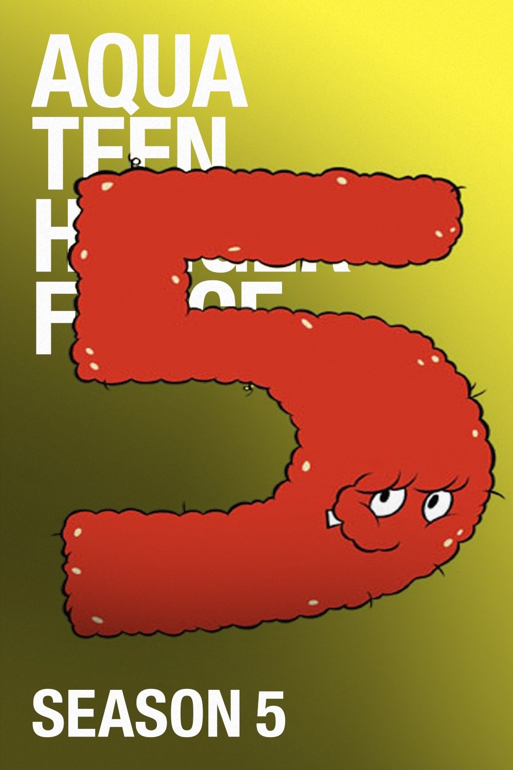 Aqua Teen Hunger Force Season 5