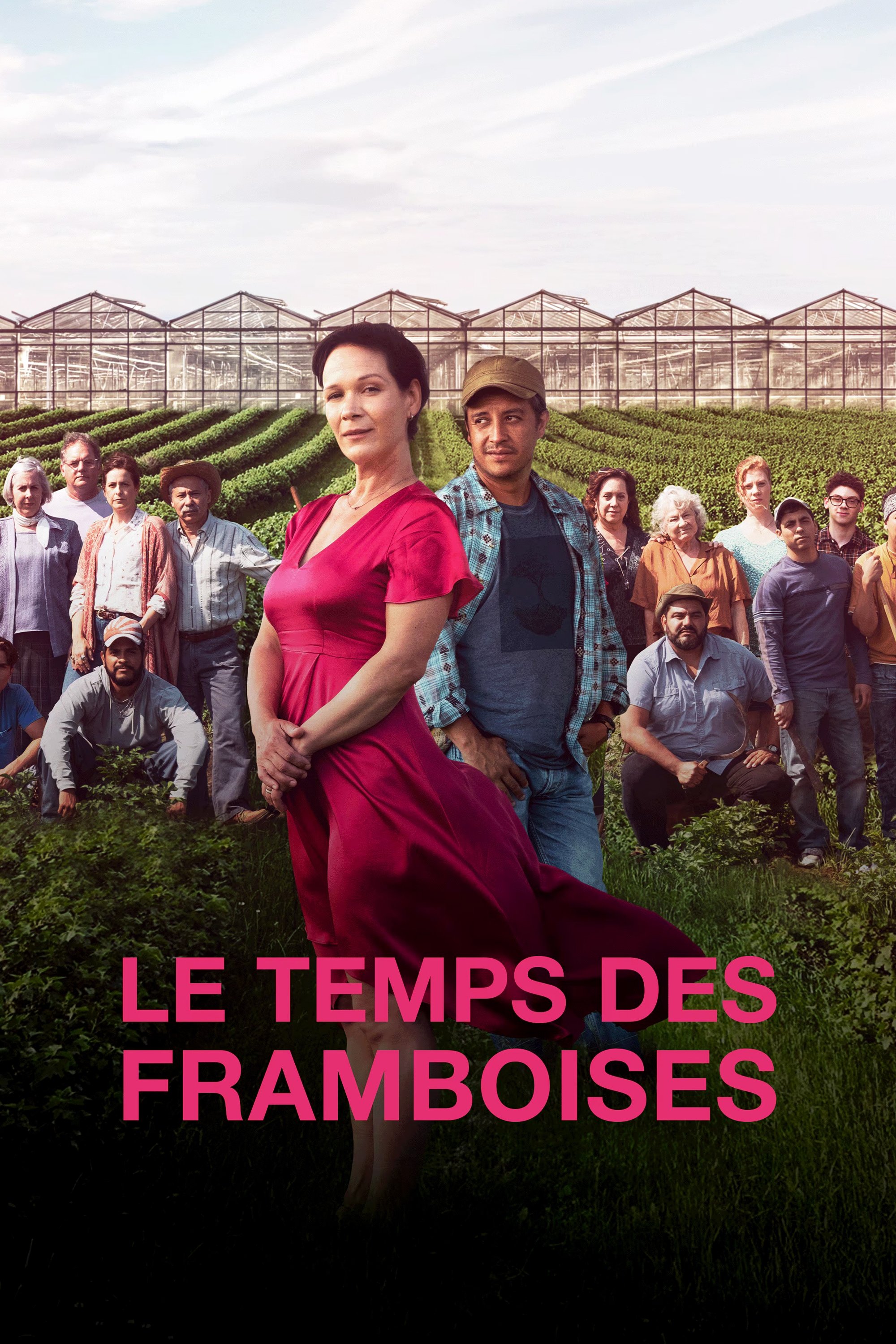 Last Summers of the Raspberries Season 2