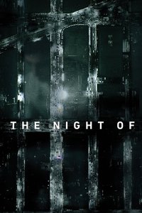 The Night Of (Miniseries)