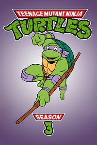 Teenage Mutant Ninja Turtles Season 3