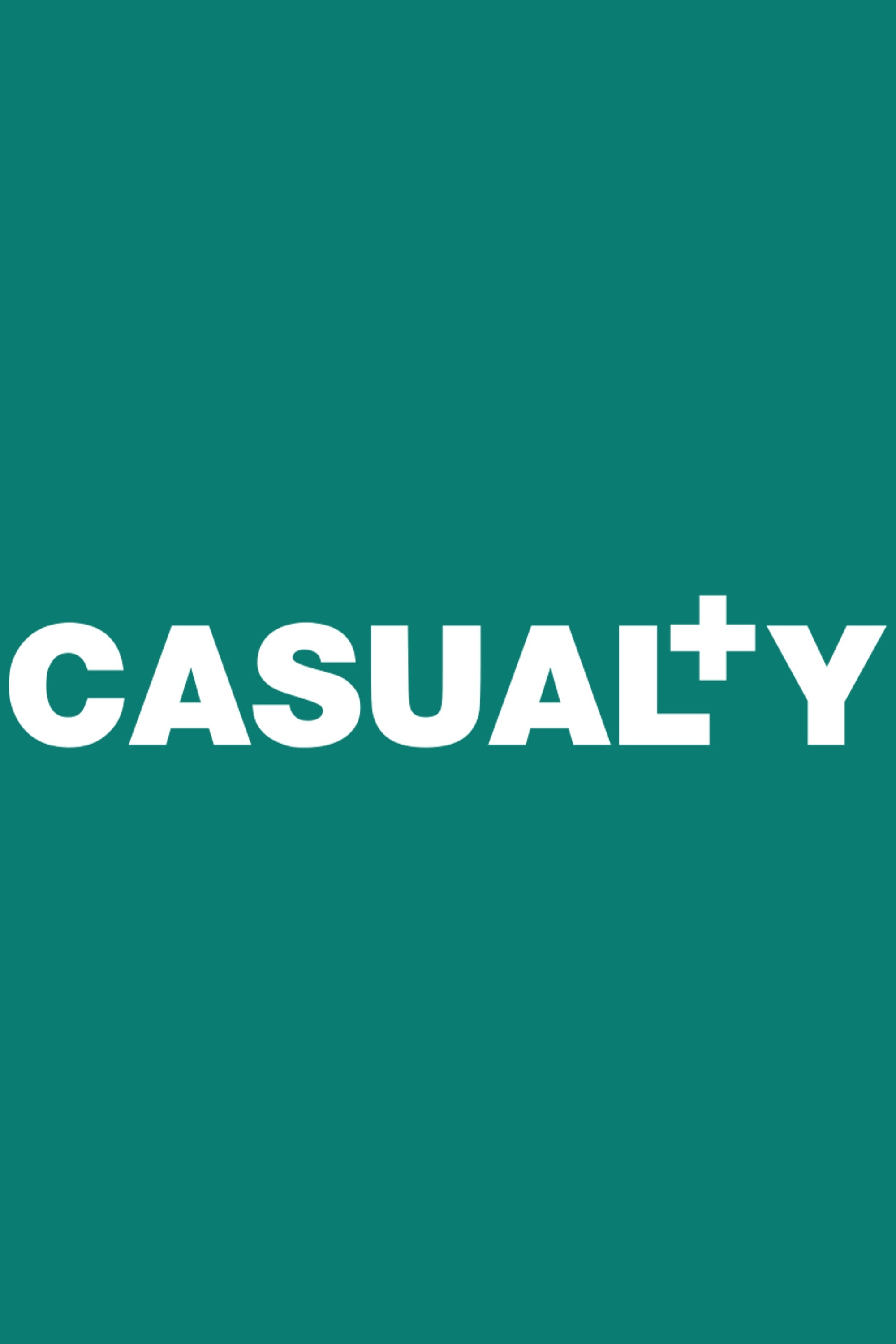 Casualty (Series 13)