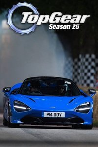 Top Gear (Series 25)