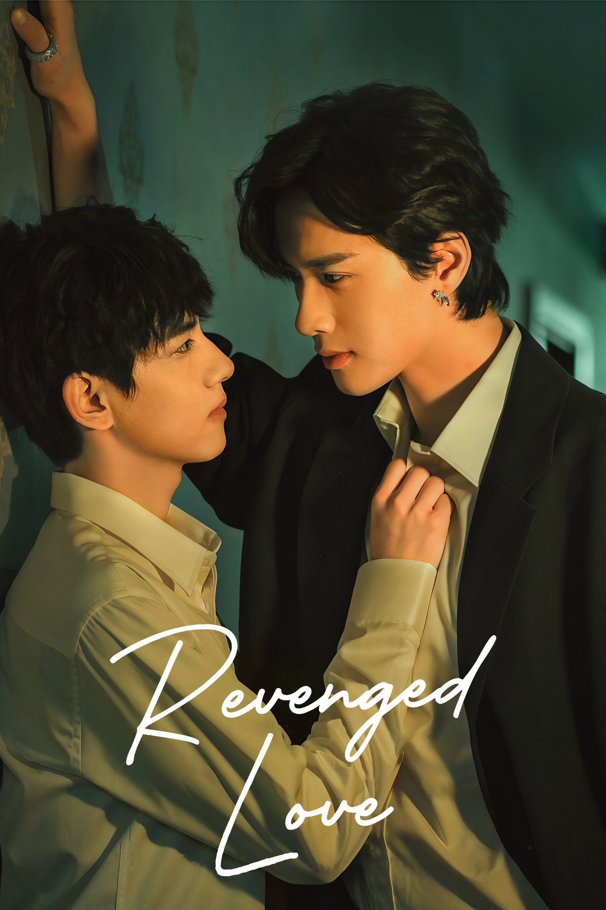 Revenged Love
