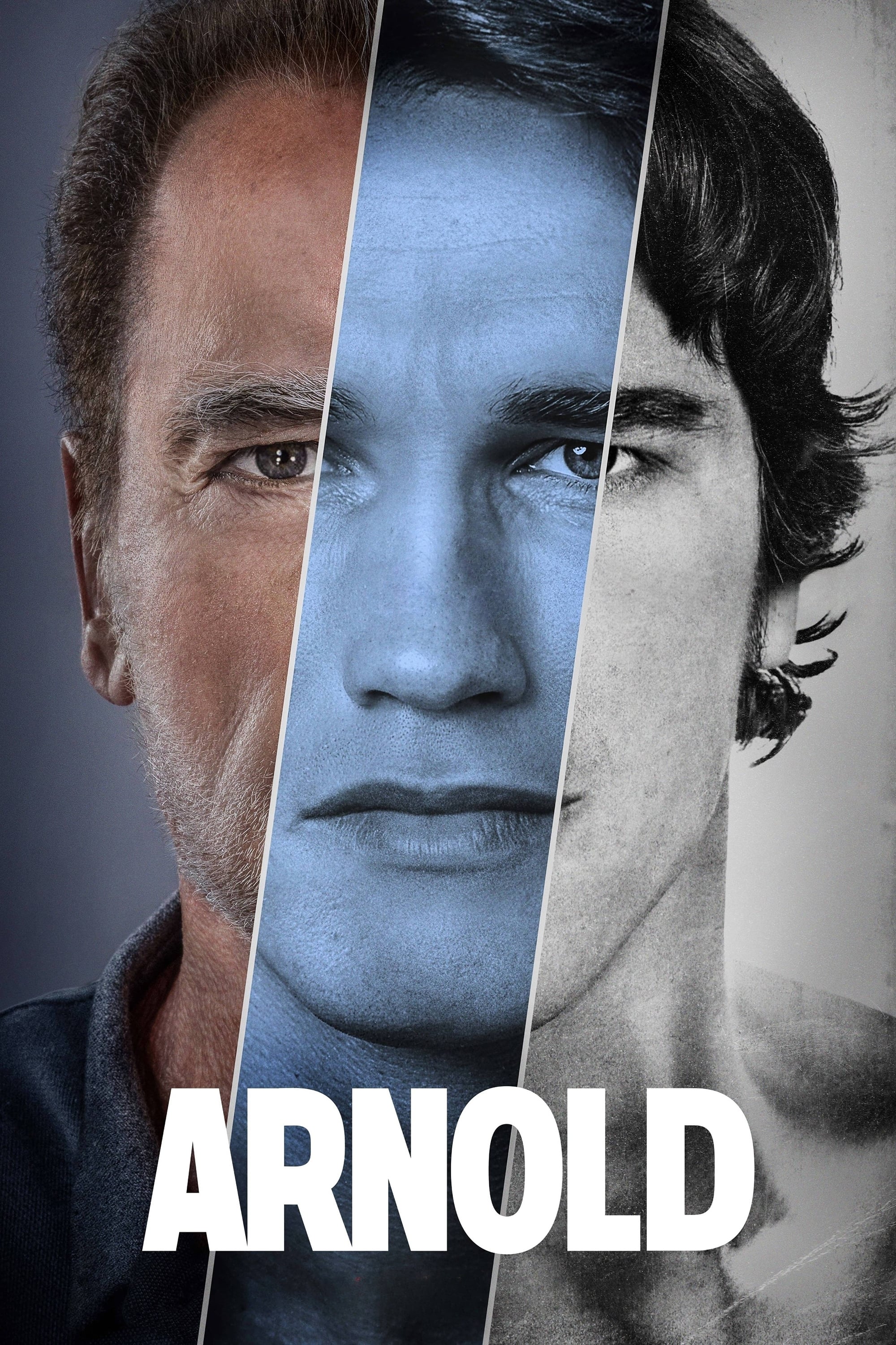 Arnold (Limited Series)