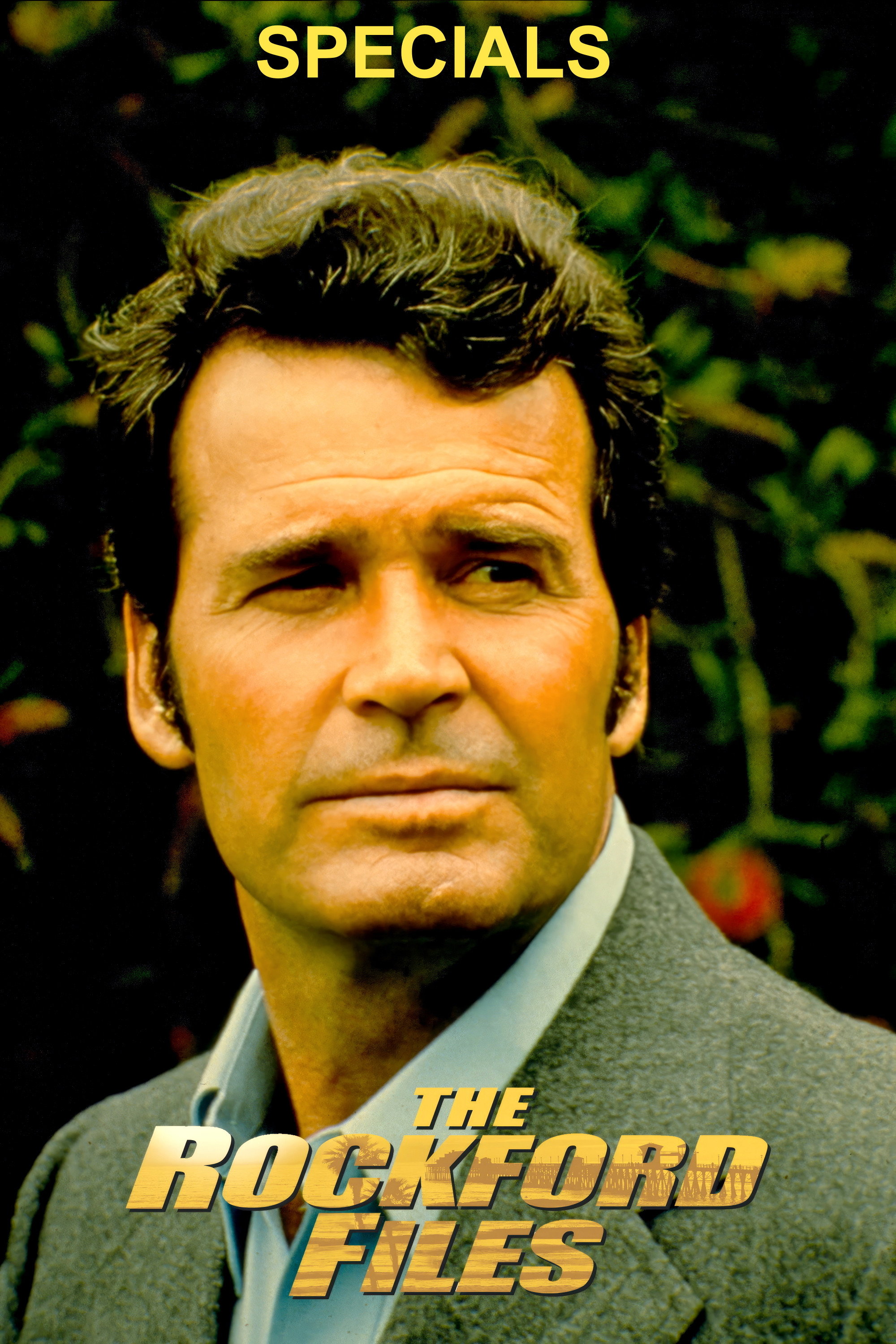 The Rockford Files (Specials)