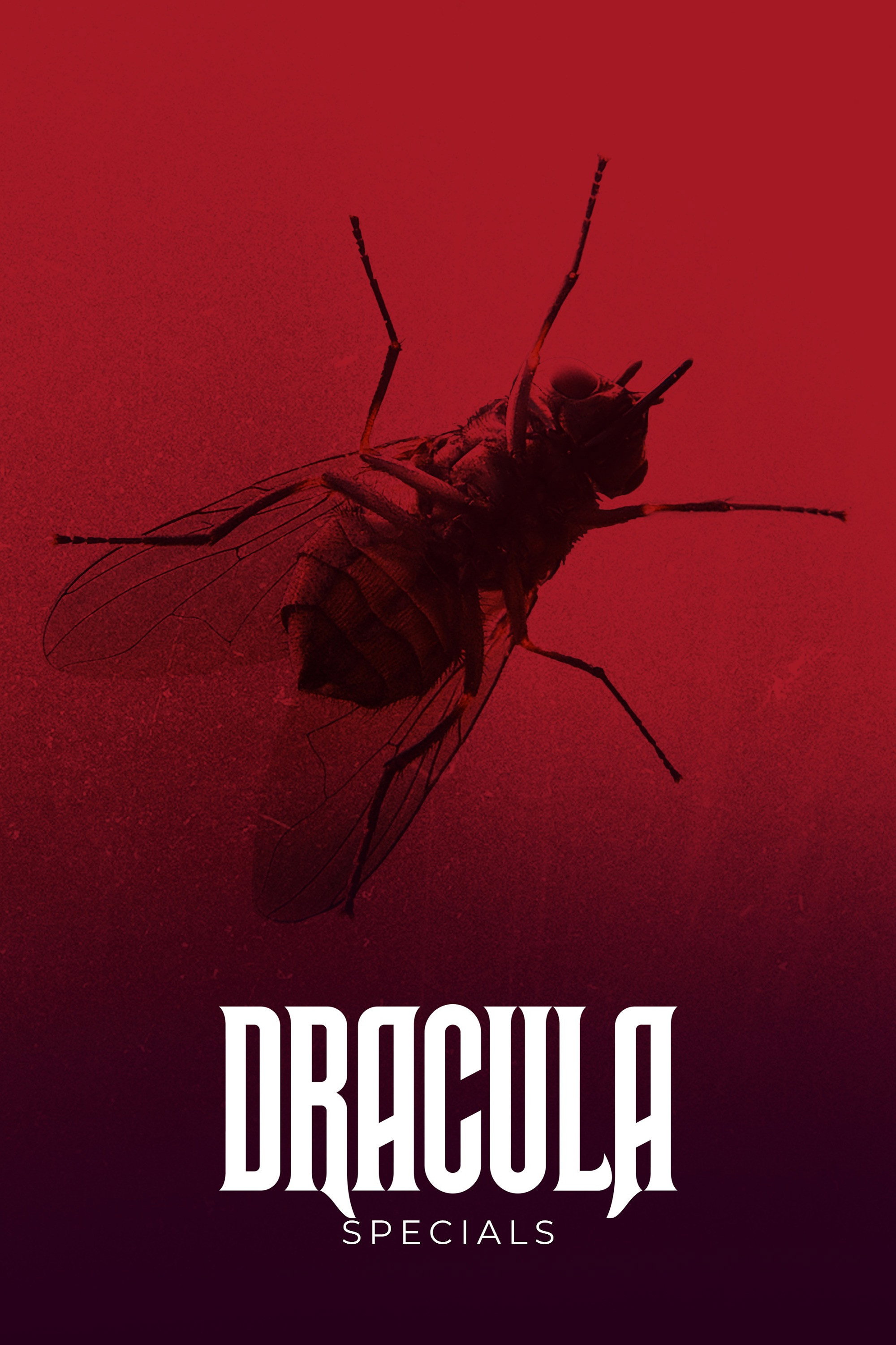 Dracula (Specials)