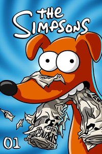 The Simpsons Season 1