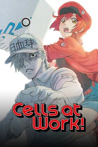 Cells at Work!
